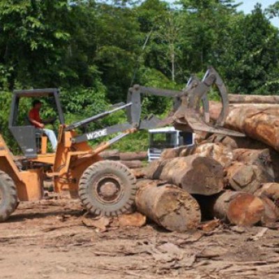 Amazônia perde 7.989 km² de floresta