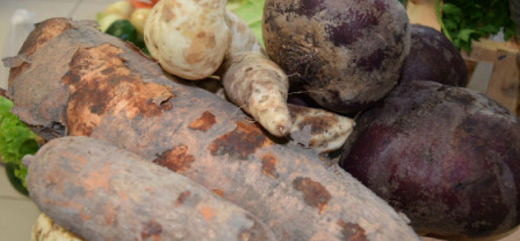 Governo prorroga inscrição para venda de produtos da Agricultura Familiar para escolas