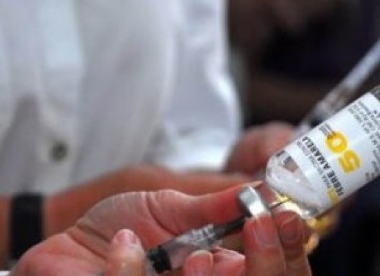 Brasil tem 424 casos de febre amarela; Minas Gerais é o estado mais afetado pela doença