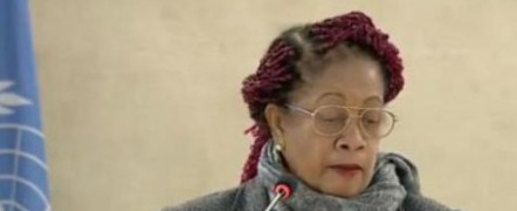 Luislinda defende na ONU língua portuguesa e direitos de afrodescendentes