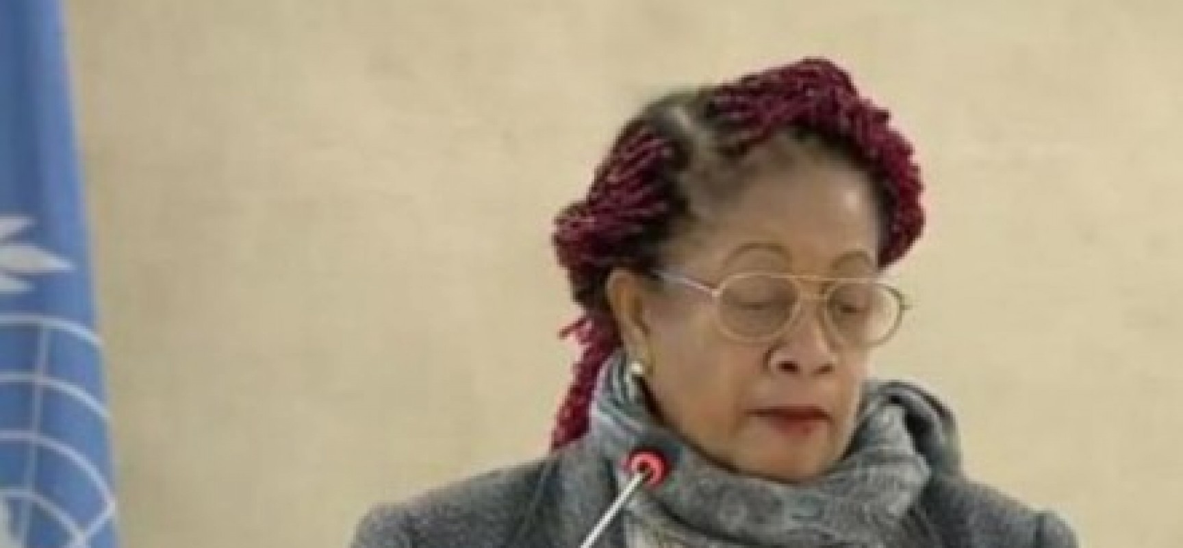 Luislinda defende na ONU língua portuguesa e direitos de afrodescendentes