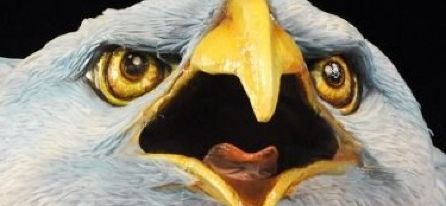 Portela é campeã do Carnaval do Rio de Janeiro após 33 anos sem título