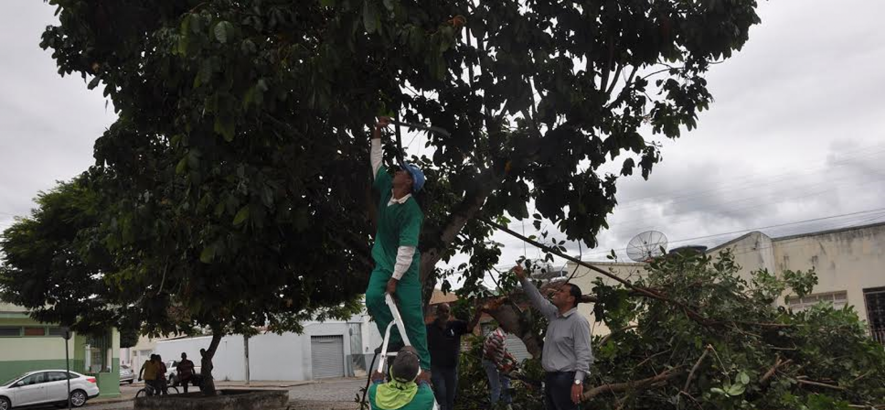 Prefeitura de Ibicaraí realiza serviço de poda de árvores em praças e avenidas