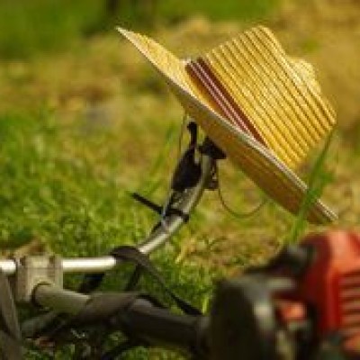 Caderno de Conflitos no Campo aponta Rondônia como o estado mais violento para trabalhadores rurais