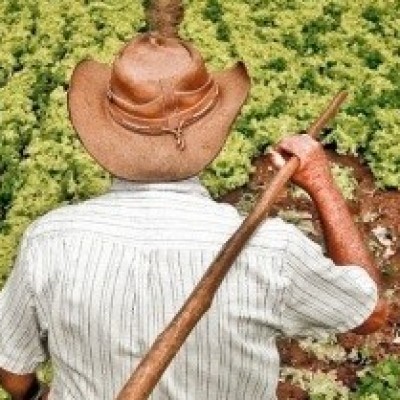 Câmara pretende ampliar proteção a agricultor familiar na reforma da Previdência