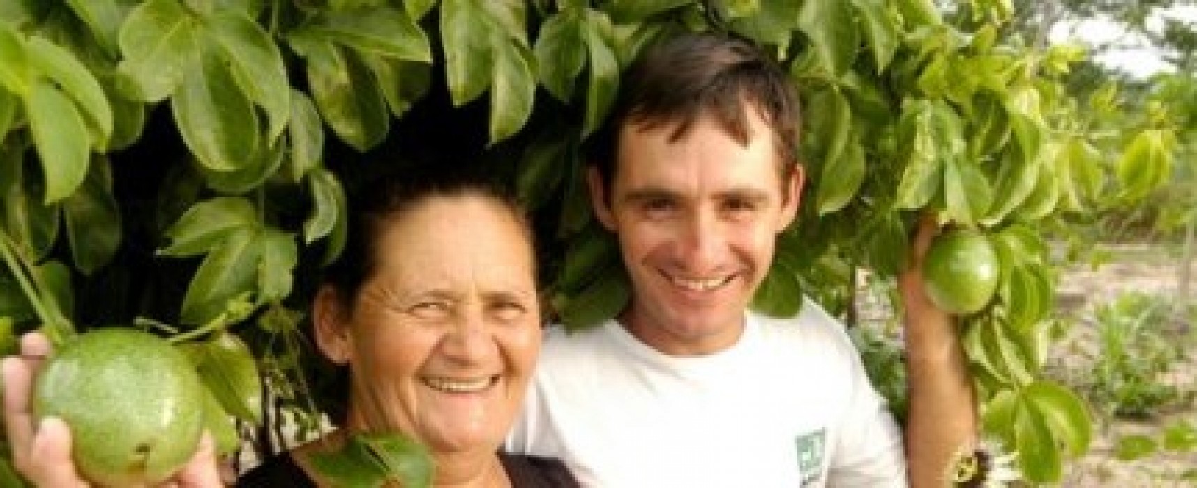 Mais de 50% dos municípios baianos aderem à parceria que fortalece agricultura familiar