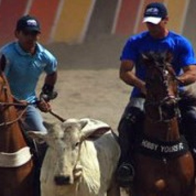 PEC da Vaquejada é aprovada em primeiro turno na Câmara