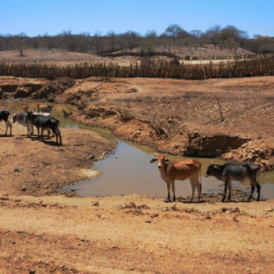 Governo reconhece emergência em mais 17 municípios de seis estados; Bahia está na lista