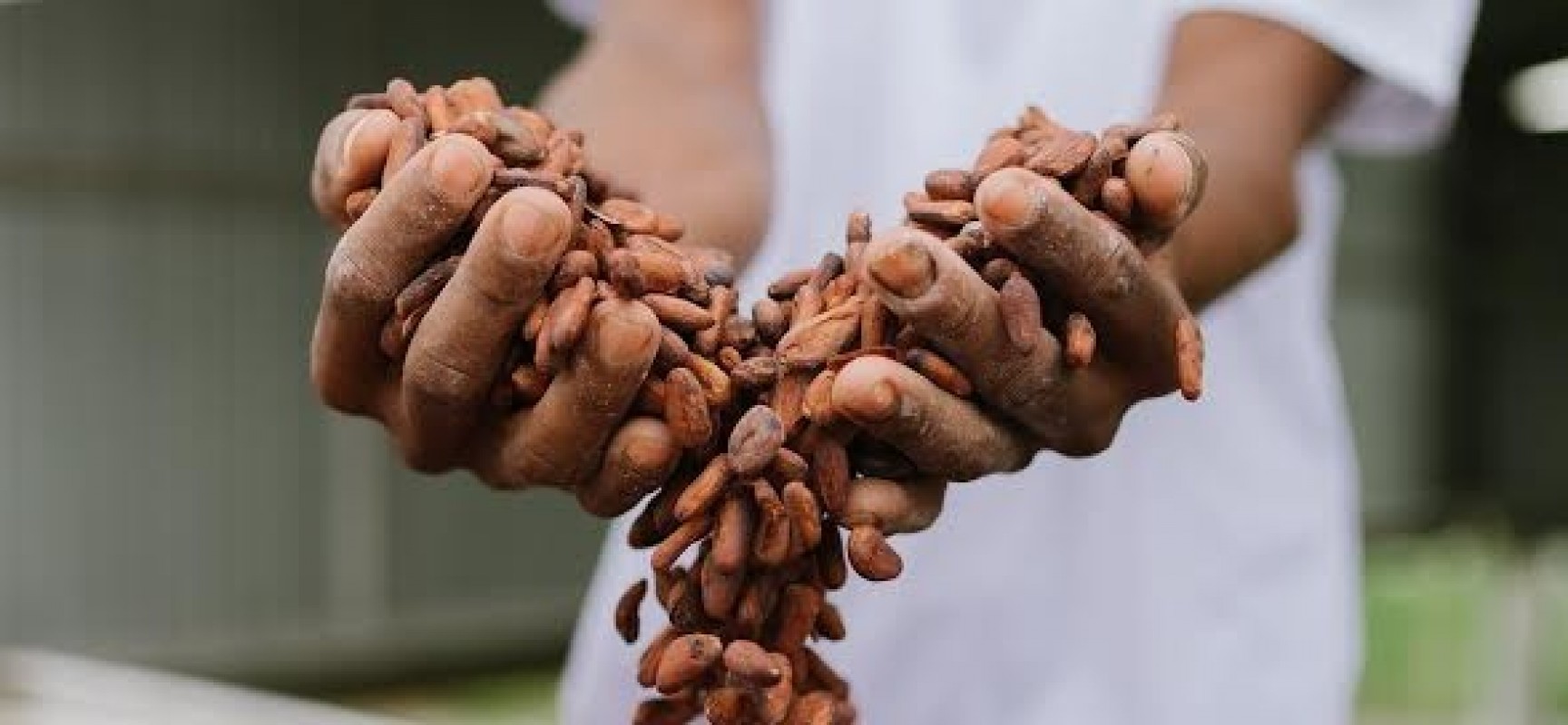 Maior evento de chocolate do Brasil chega à sua 9ª edição na Bahia