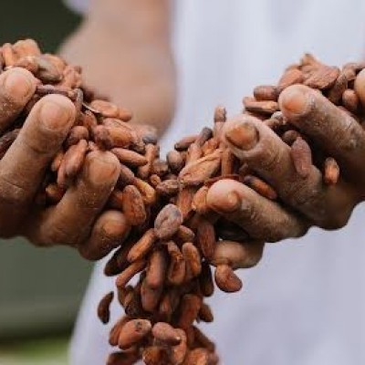 Maior evento de chocolate do Brasil chega à sua 9ª edição na Bahia