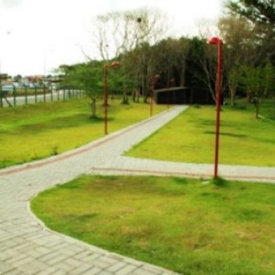 Prefeitura de Camaçari vai lançar programa Mais Verde na próxima semana