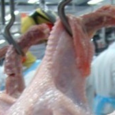 União Europeia amplia cotas de importação de açúcar e frango do Brasil