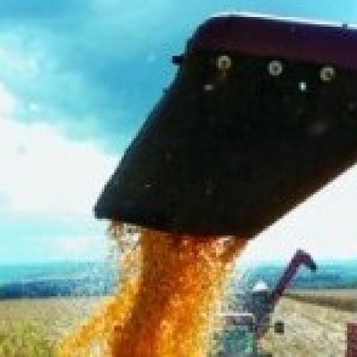 Produtor pode solicitar recursos do Plano Safra 2017/2018 a partir de hoje