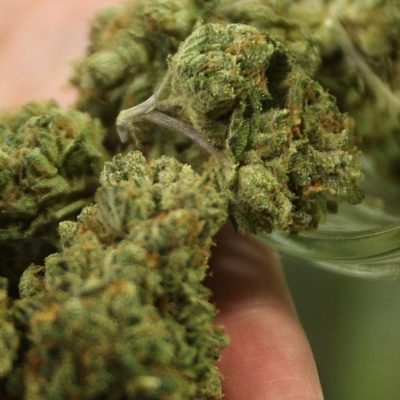 Segurança Pública Jungmann defende distinção entre traficante e usuário de drogas