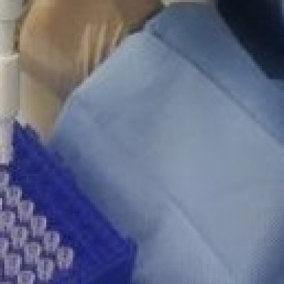 Cientistas descobrem substância que pode bloquear produção do vírus Zika