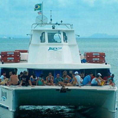 Catamarã bate em baleia durante travessia entre Morro de São Paulo e Salvador