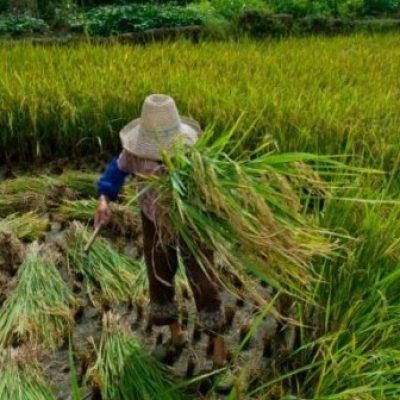 Com 40 milhões de escravos no mundo, OIT pede mais empenho dos países