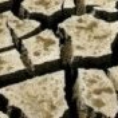 Governo decreta situação de emergência em 173 municípios baianos