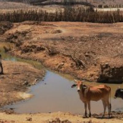 Aplicativo para celular permite acompanhar situação da seca no Nordeste
