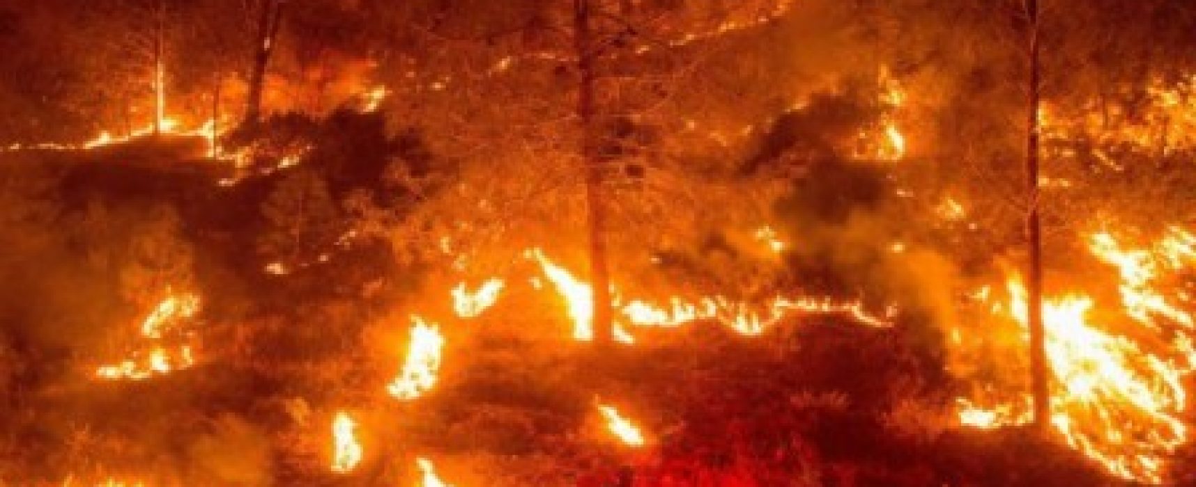 Ventos fortes mantêm incêndio fora de controle na Califórnia