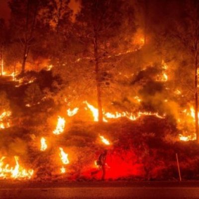 PF e órgãos estaduais apuram causas de incêndios no Pantanal