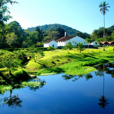 Estrada do cacau e do Chocolate vai funcionar ainda neste verão, assegura governo da Bahia