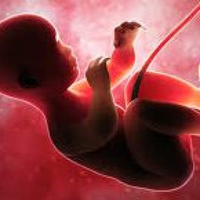 Lei contra aborto obriga grávida a ouvir coração do feto