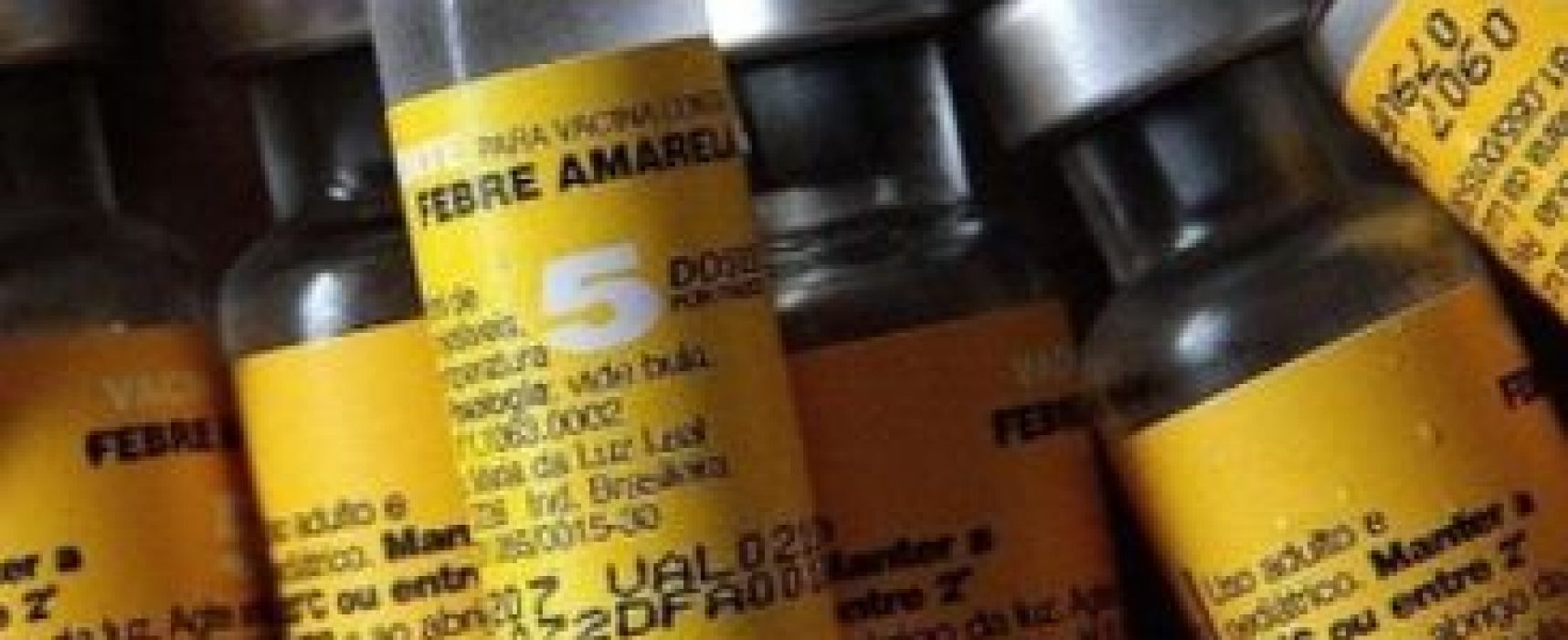 Febre Amarela: Ilhéus não está na área de recomendação do Ministério da Saúde