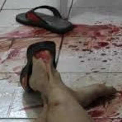 Lula classifica de “monstruosidade” os assassinatos em escola de Blumenau