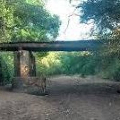 Artigo de Gaudêncio Torquato: “POVO SEM ESPERANÇAS É UM RIO SECO”