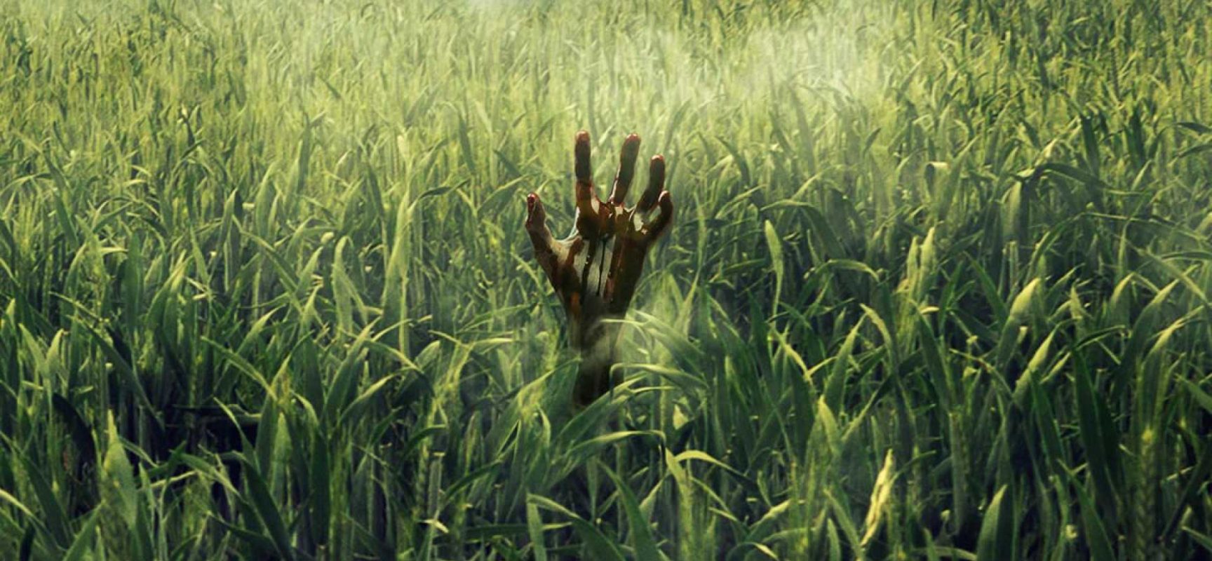 Netflix adaptará mais uma obra de Stephen King