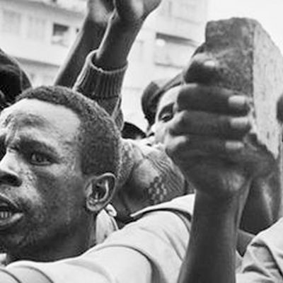 20 de novembro: Especialista esclarece diferenças entre crime de injúria racial e racismo