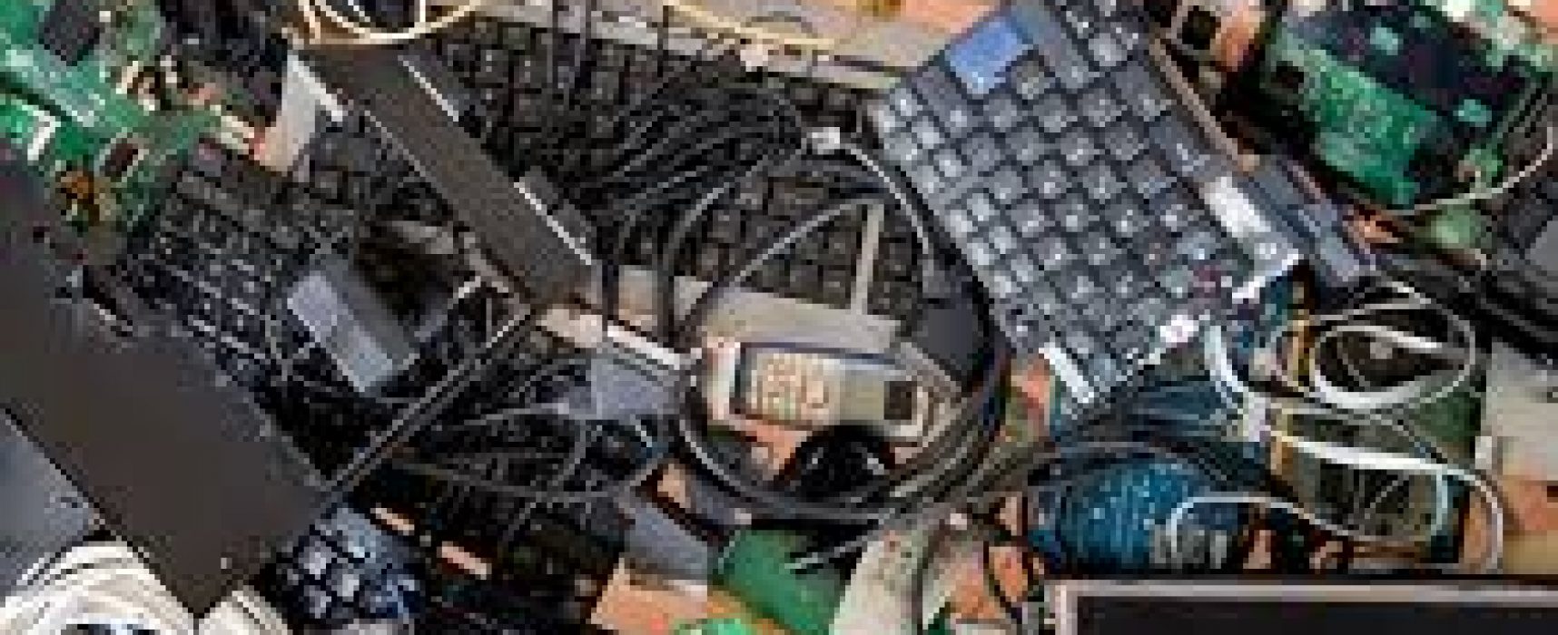 Resíduos sólidos descartados em eventos deverão ser encaminhados para reciclagem