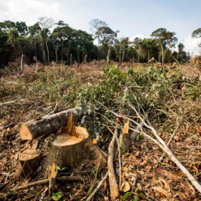 Itacaré realiza o cadastramento ambiental dos pequenos agricultores