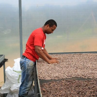 Produtor baiano apresenta o nibs de cacau cabruca em evento na Itália