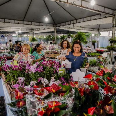 Exposição “Ilhéus Em Flor” é prorrogada até sexta-feira (5)