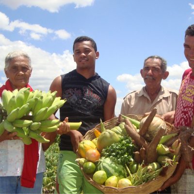 Governo do Estado prorroga prazo para Edital de Apoio às Agroindústrias Dinâmicas na Bahia