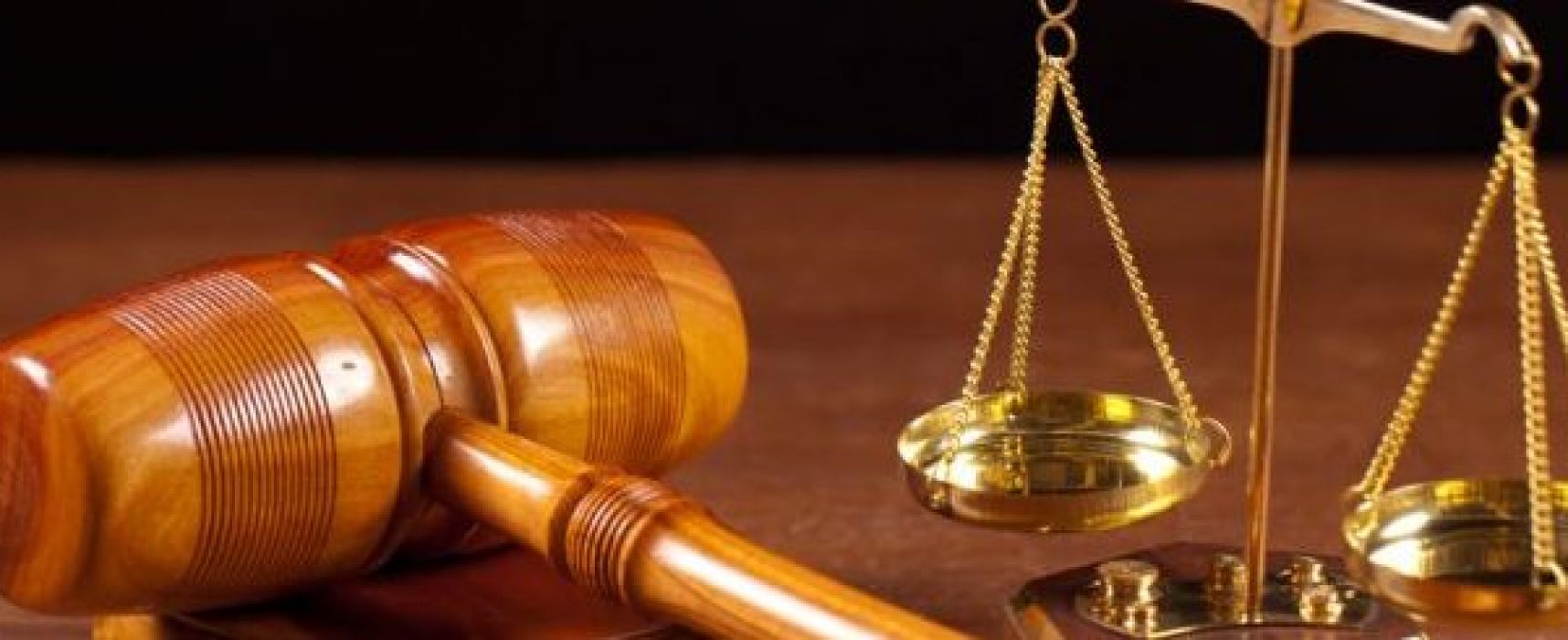 *Por Dra. Jurema Cintra Barreto: Um domingo de cão, ou melhor, de CORUJA