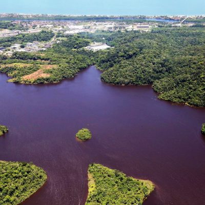 Meio Ambiente cadastra ONG’s Ambientais para ocuparem vagas no Condema