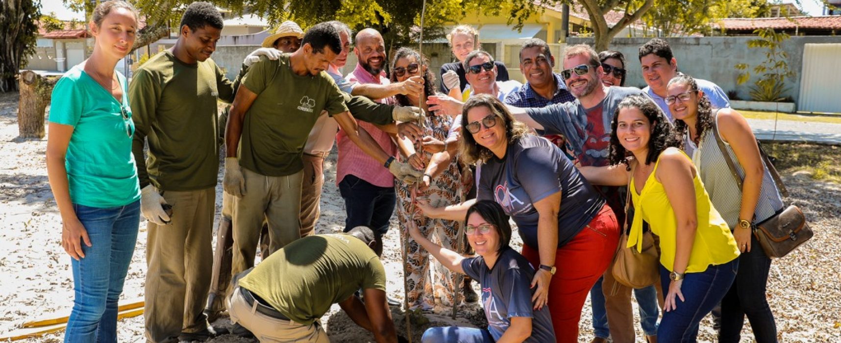 Prefeitura inicia plantio de mil mudas de árvores nativas em vias públicas da cidade