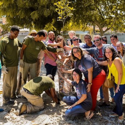 Prefeitura inicia plantio de mil mudas de árvores nativas em vias públicas da cidade