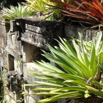 Avança candidatura do Sítio Burle Marx a patrimônio da humanidade