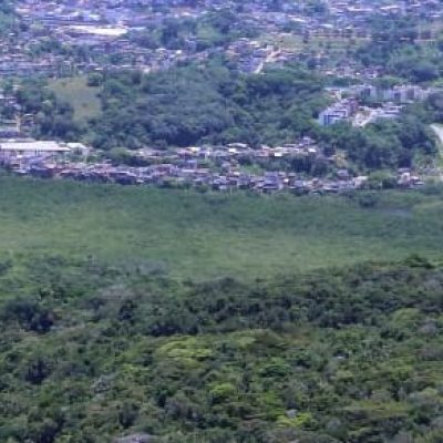 Semana do Meio Ambiente terá ampla programação em Ilhéus