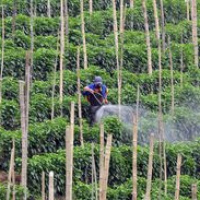Anvisa aprova marco regulatório dos agrotóxicos
