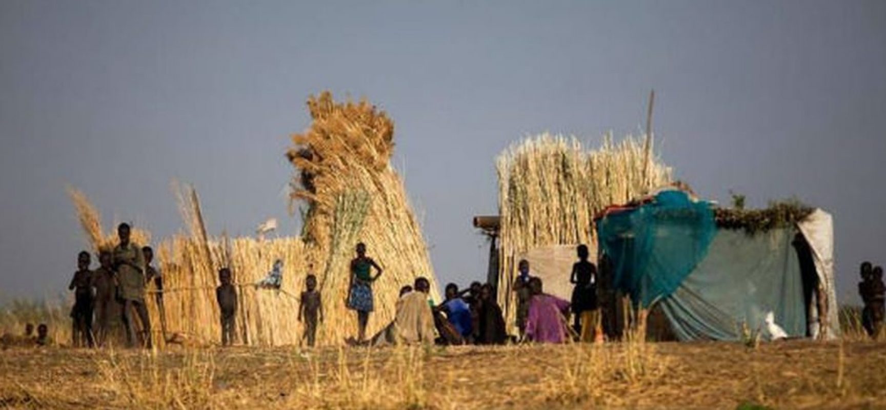 Mais de 821 milhões de pessoas no mundo passaram fome em 2018