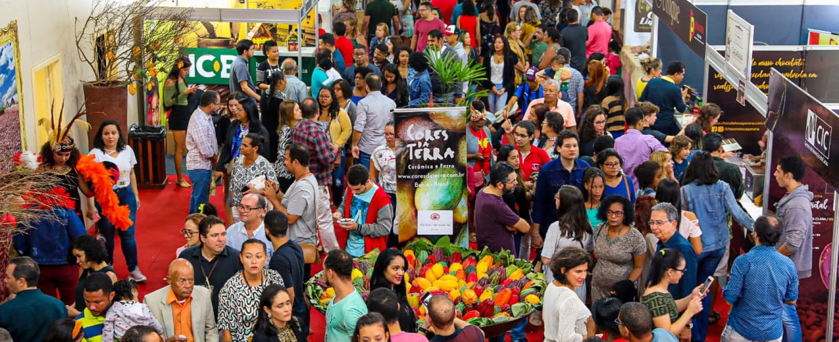 Ocupação hoteleira em julho registra ligeiro incremento na economia ilheense