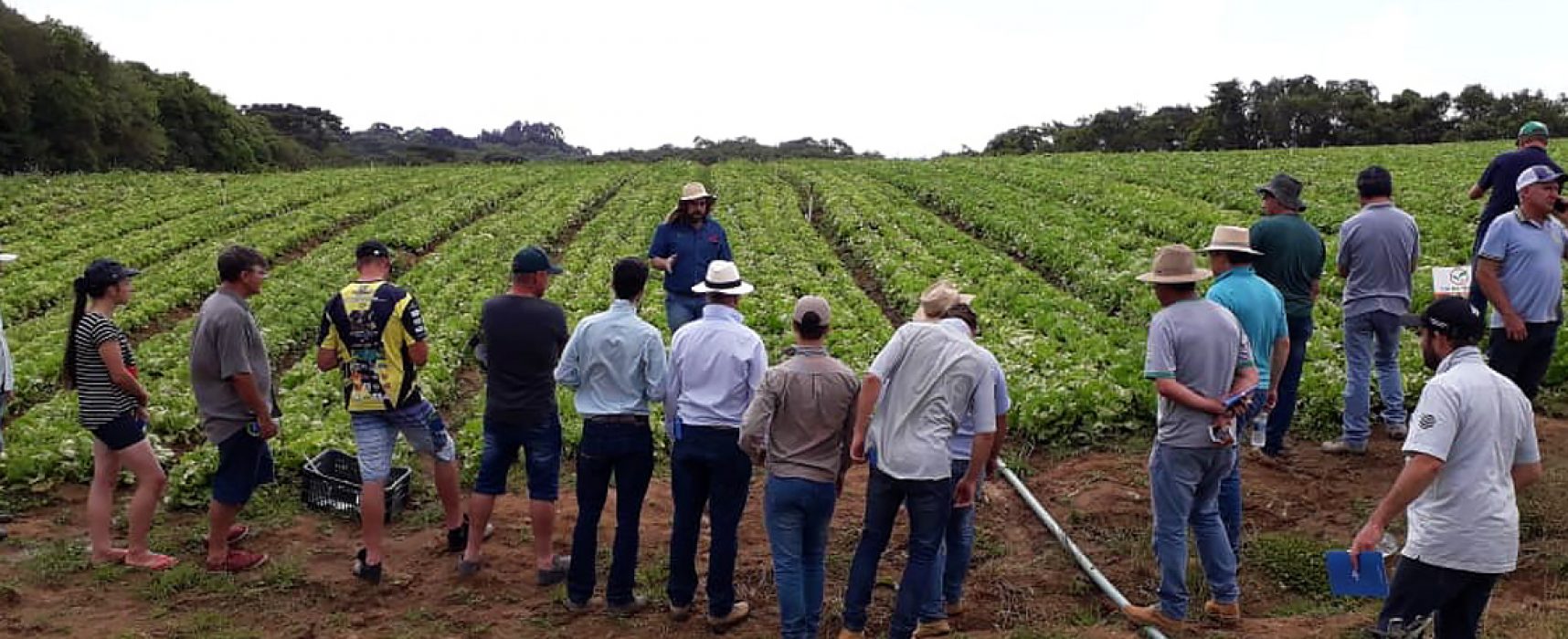 Ilhéus (BA) comemora a 15ª edição do Dia Nacional do Campo Limpo