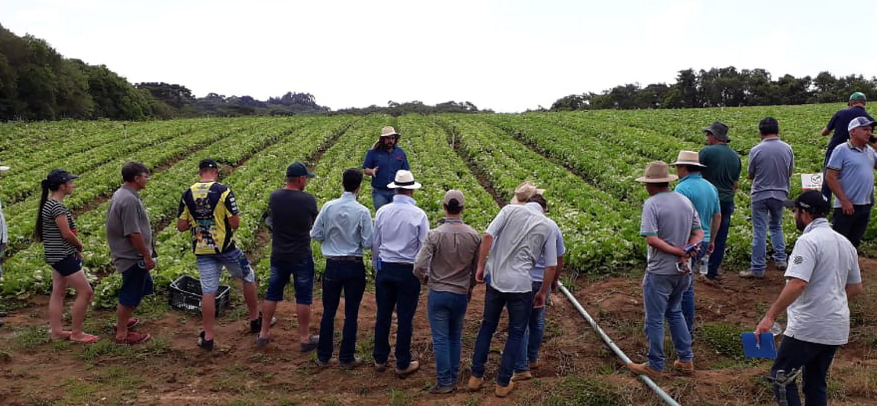 Ilhéus (BA) comemora a 15ª edição do Dia Nacional do Campo Limpo