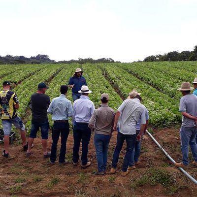 Ilhéus (BA) comemora a 15ª edição do Dia Nacional do Campo Limpo