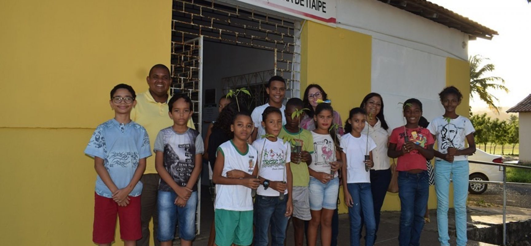 SDS e Instituto Global Brasil realizam plantio de árvores em comunidades ilheenses